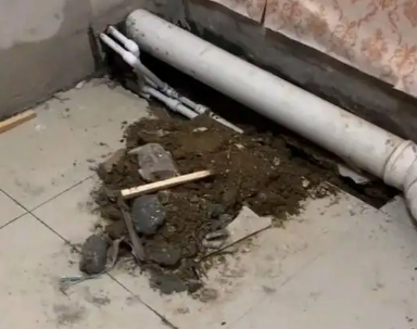仁布卫生间漏水检测哪家好