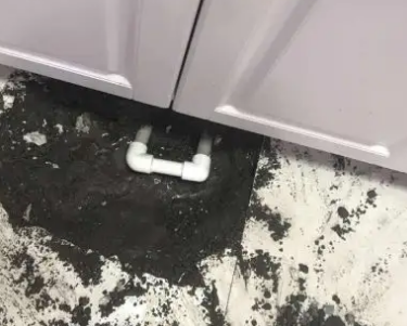 仁布查漏水哪家好